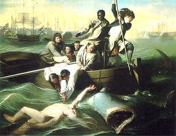 Watson and the Shark